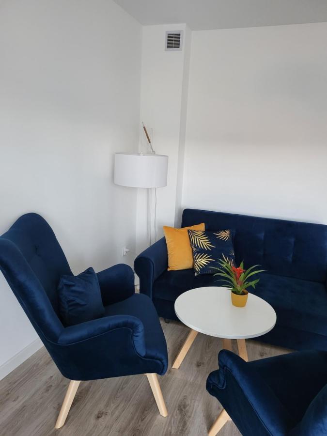 Apartament Z Widokiem-Blizej Zdroju Поляница-Здруй Экстерьер фото
