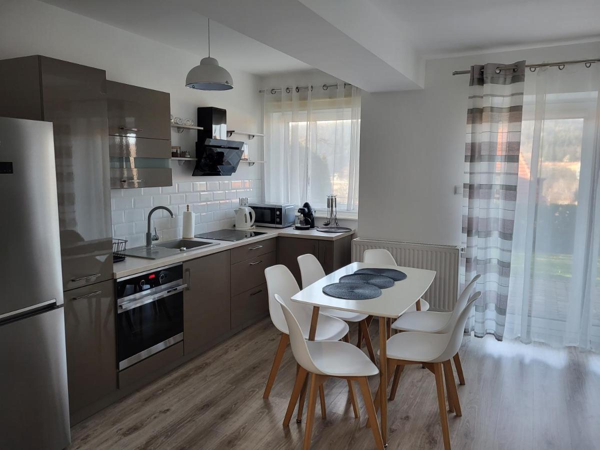 Apartament Z Widokiem-Blizej Zdroju Поляница-Здруй Экстерьер фото