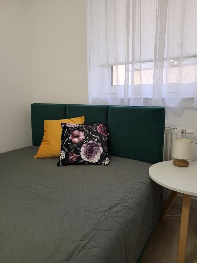 Apartament Z Widokiem-Blizej Zdroju Поляница-Здруй Экстерьер фото