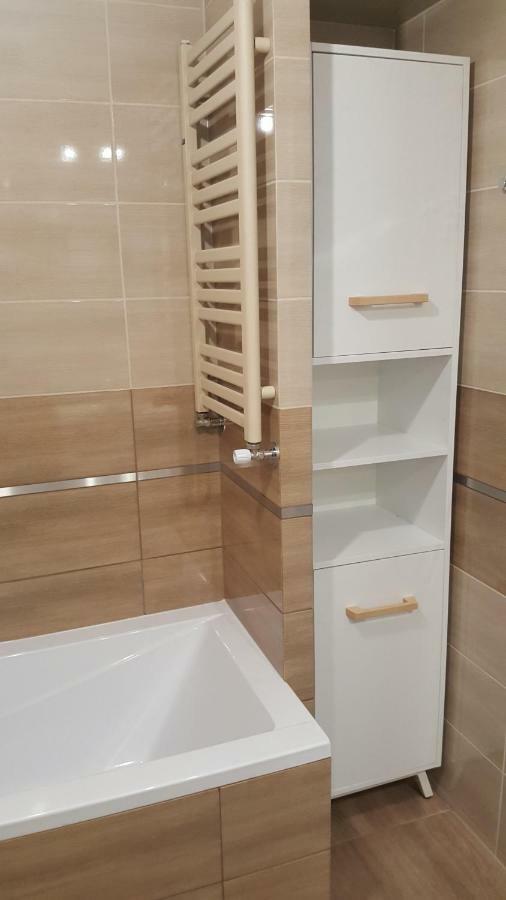 Apartament Z Widokiem-Blizej Zdroju Поляница-Здруй Экстерьер фото